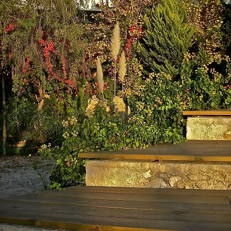 מלון Andromeda 3*