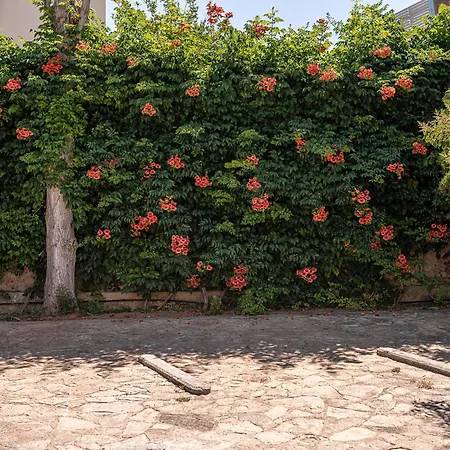 Hotel Andromeda 3*