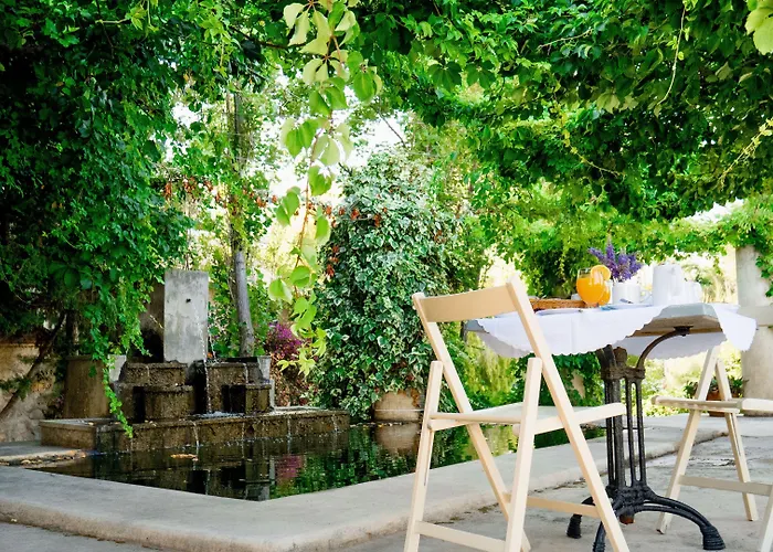 Andromeda Готель 3*