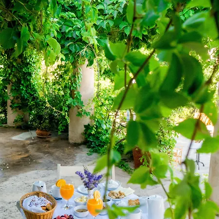 Andromeda 3* خانيا