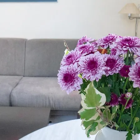 Andromeda 3* خانيا